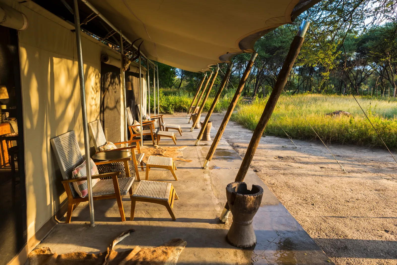 Luxury Safari