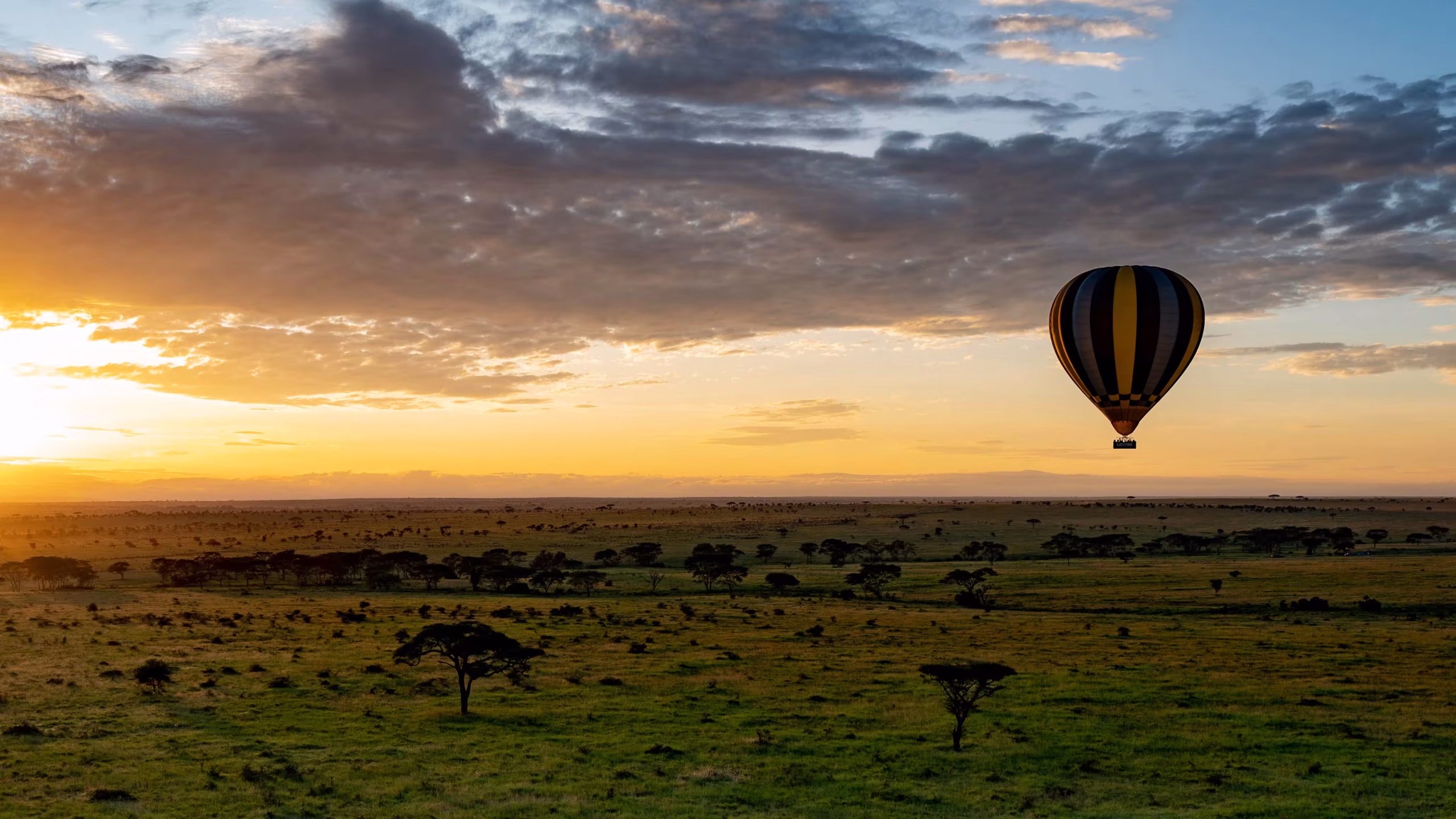Family Safari