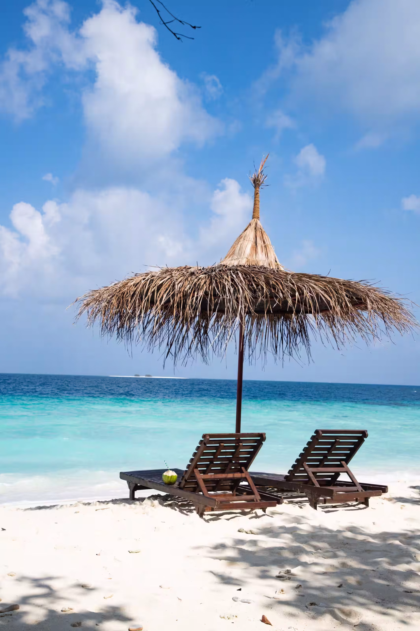 Tailor-made Pemba Island safari