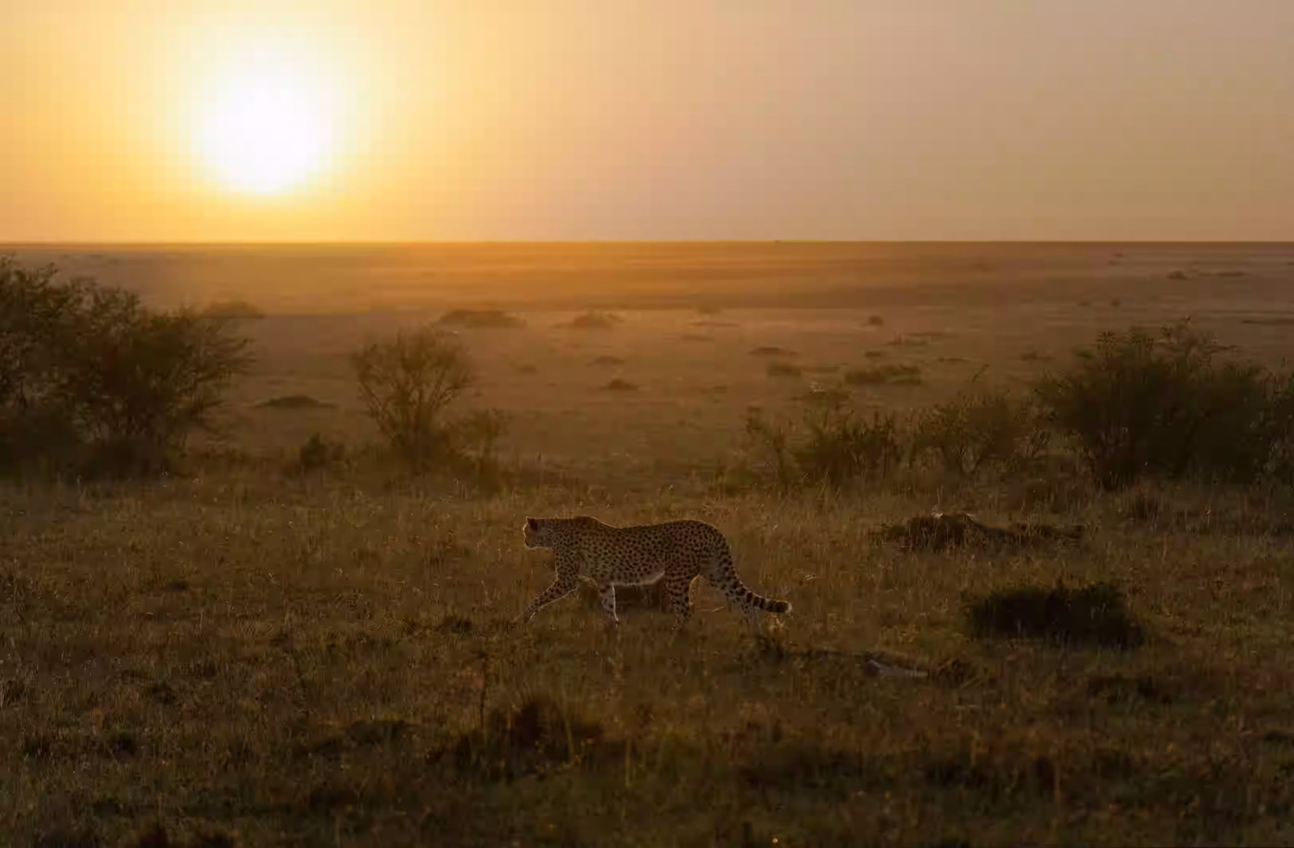Sundowners on the Plains