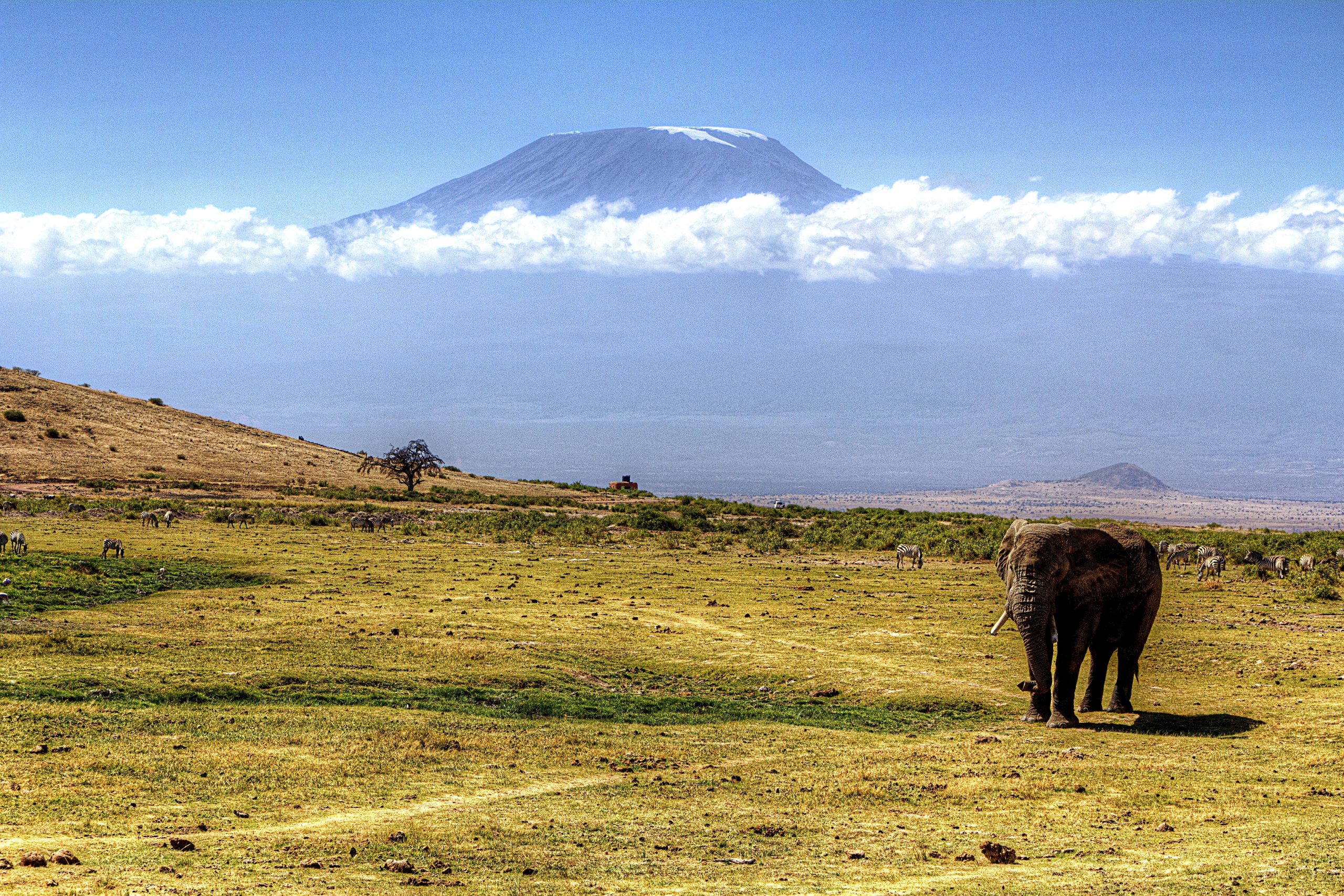 Kilimanjaro: the Machame Route