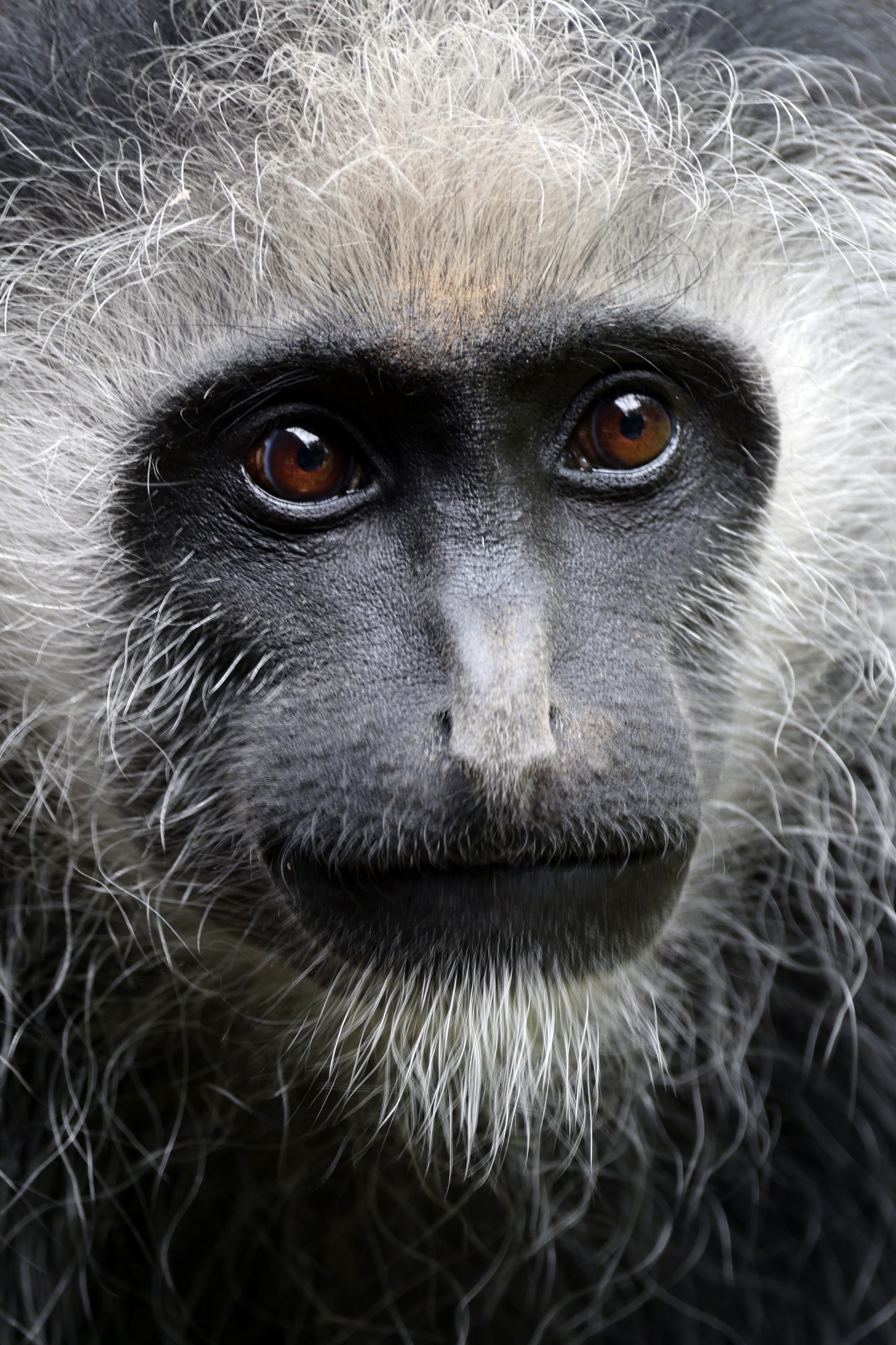 Plan a Tanzania safari