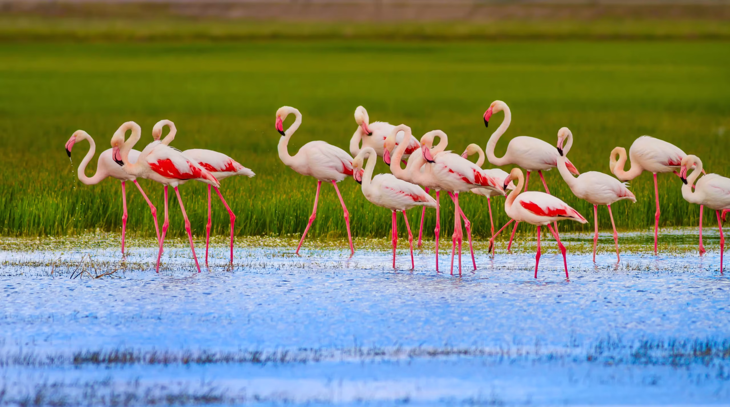 Lake Manyara