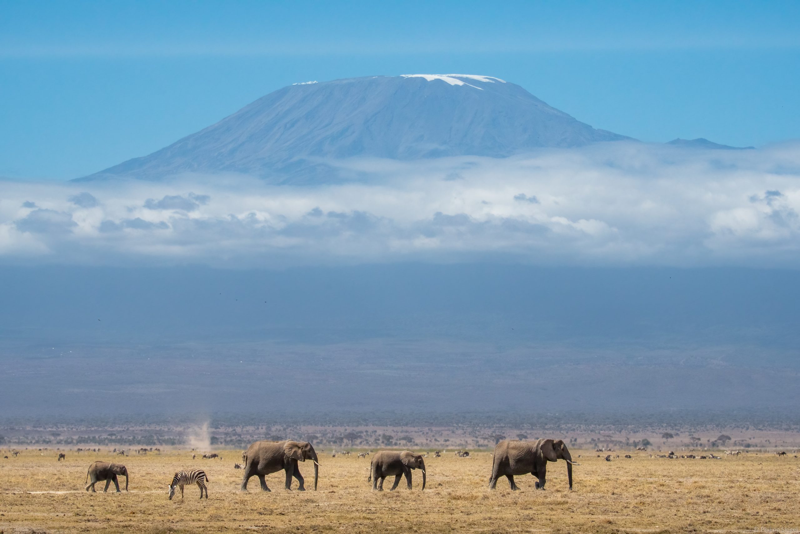 Kilimanjaro & Safari