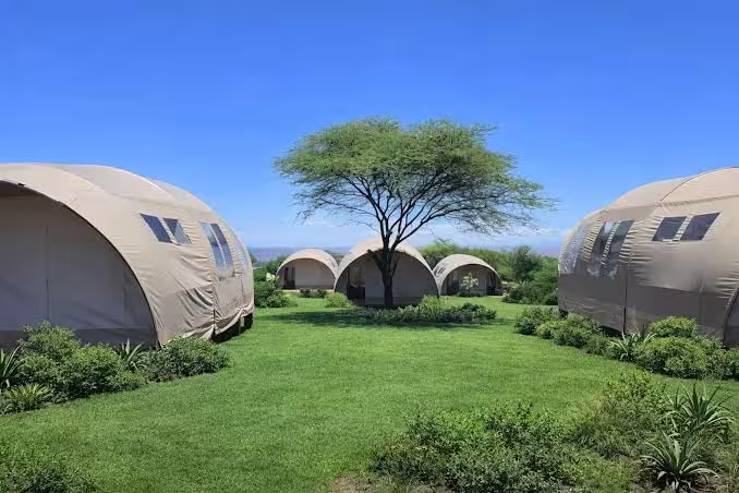 Dome-shaped safari tents on a lawn