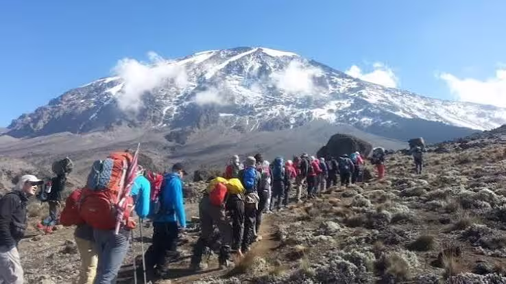 A line of climbers on the trail below Kibo