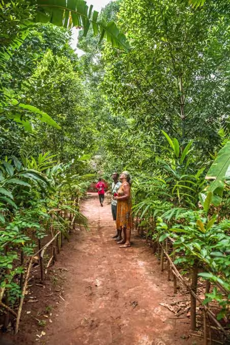Spice Plantation Tours