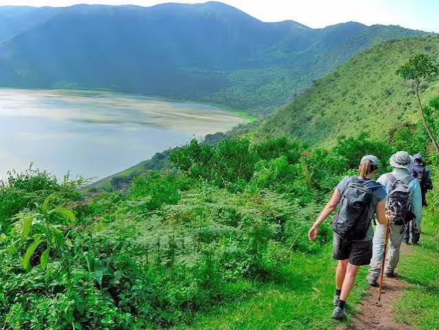 Walkers looking out over forested hills