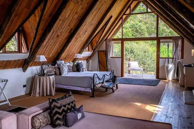 Luxury Safari