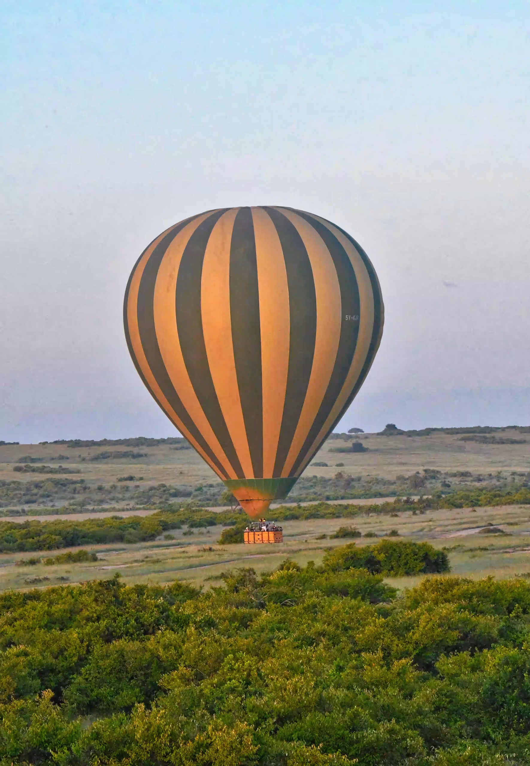 Places of Africa Safaris