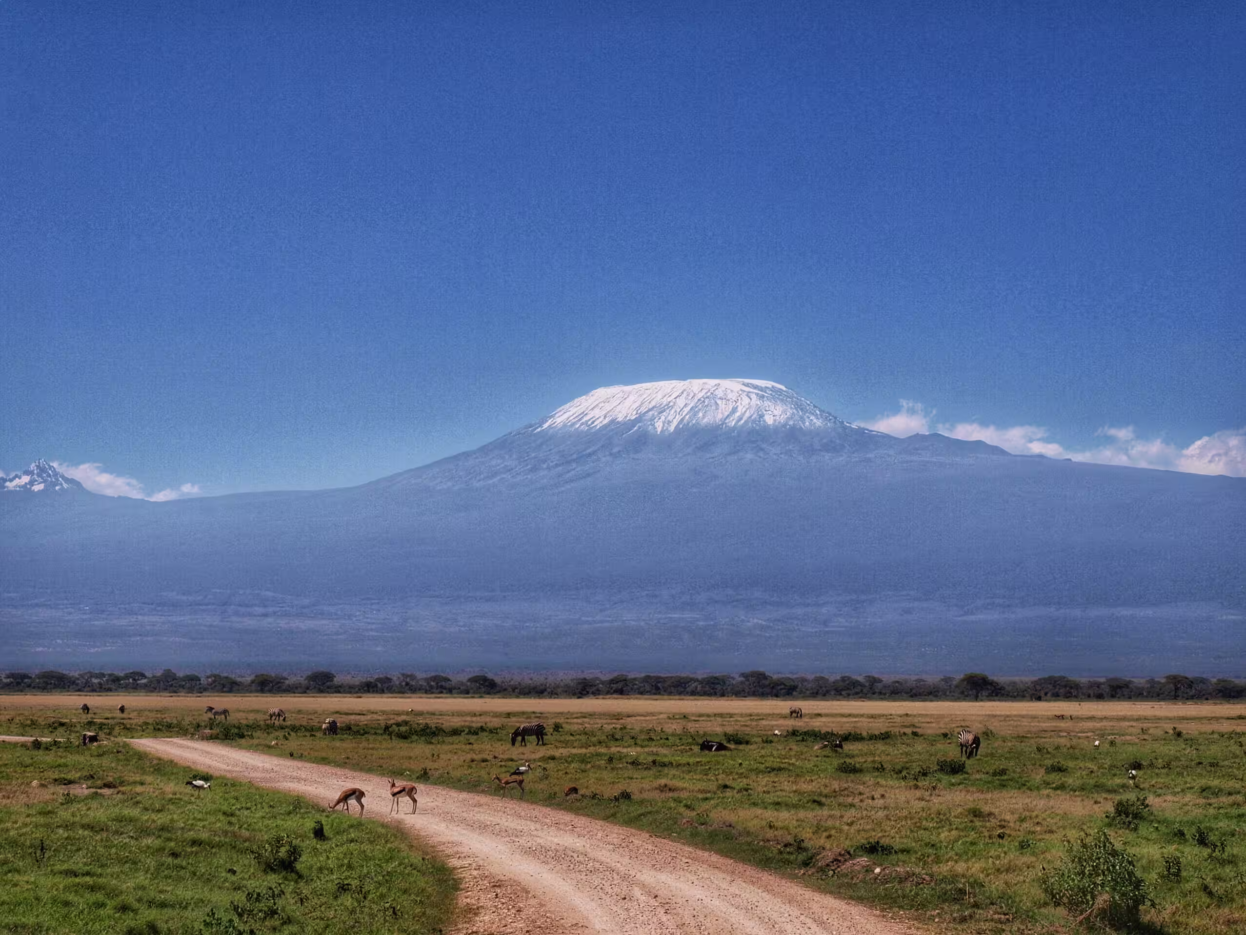 Kilimanjaro