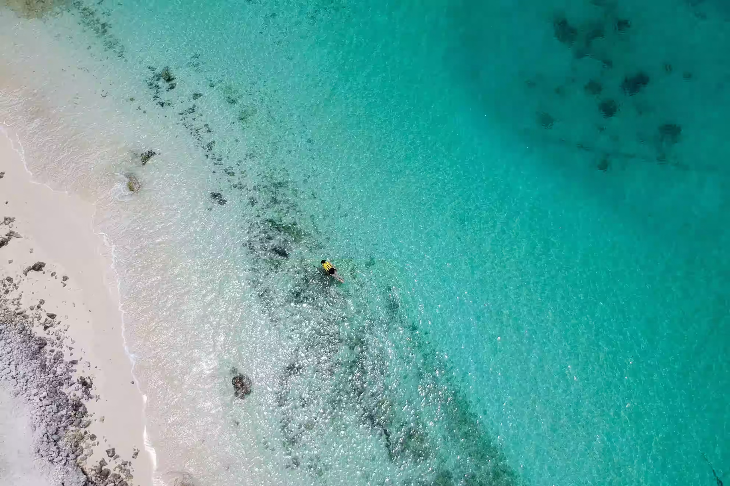 A snorkeller over clear water, seen from above