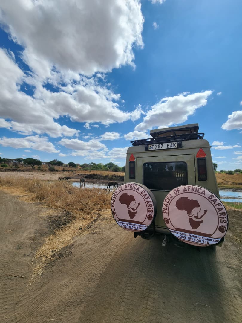 Our safari vehicle beside elephants at a waterhole in Tarangire