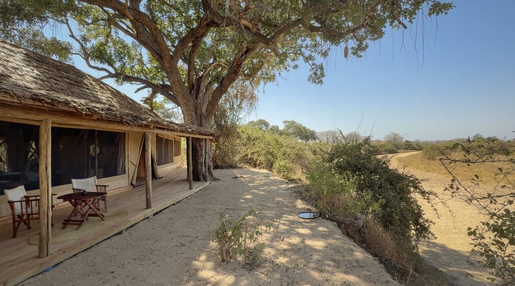 Kigelia Ruaha, Tanzania