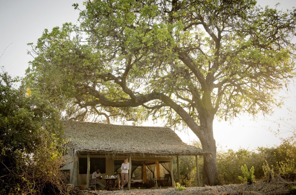 Kigelia Ruaha, Tanzania