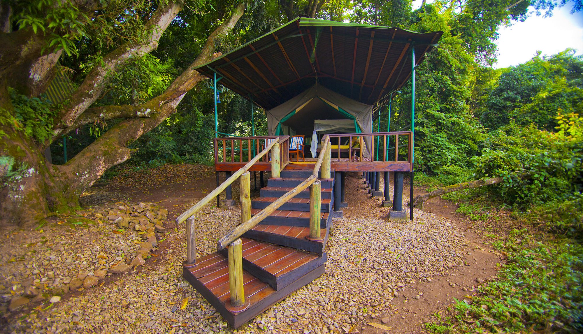 A forest tent on a raised platform at Mbali Mbali Gombe Lodge
