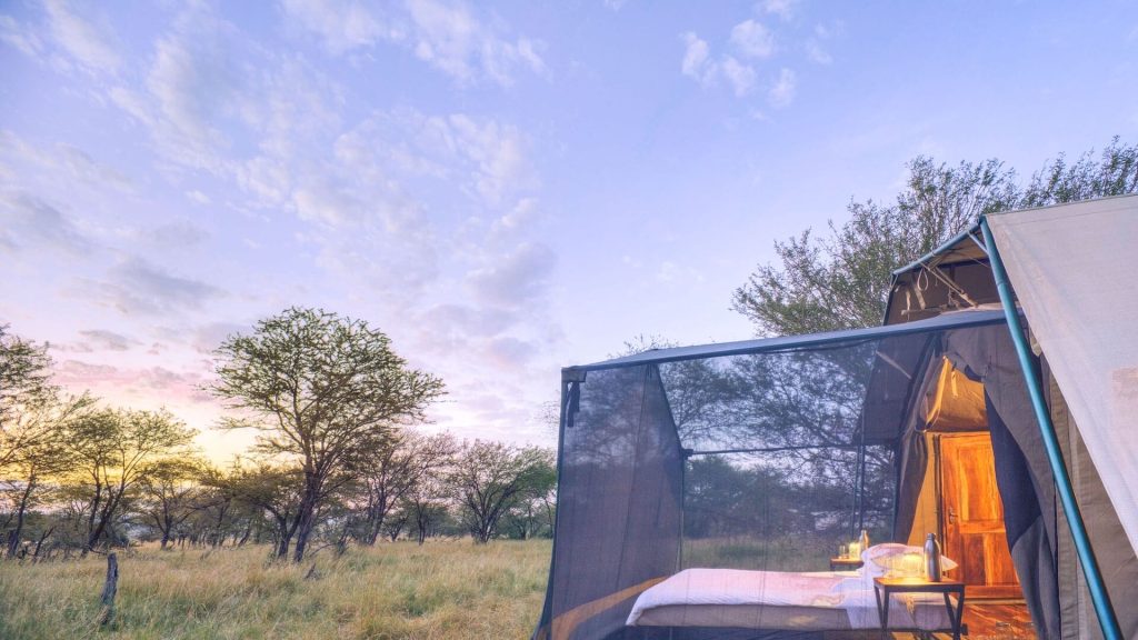 Olakira Migration Camp: Side view of a stargazing guest tent